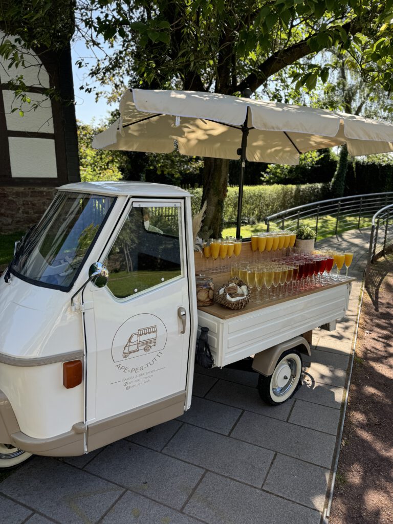 Piaggio Ape Sektaufbau